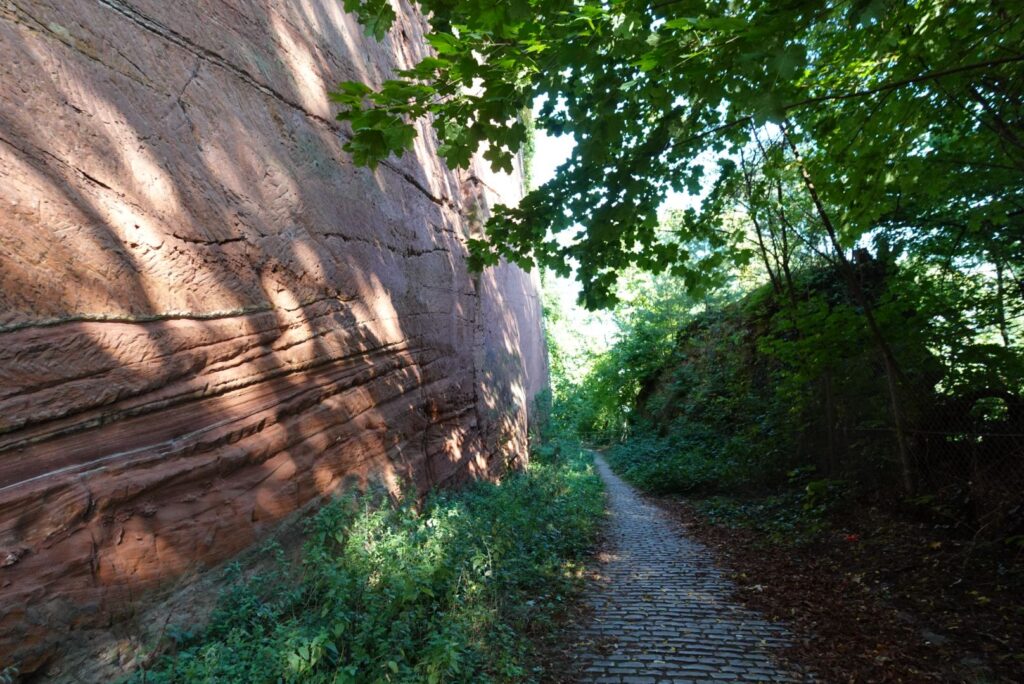 マリエンゼウレへ続く坂道。石畳の道が続き、両脇には住宅と緑が広がる